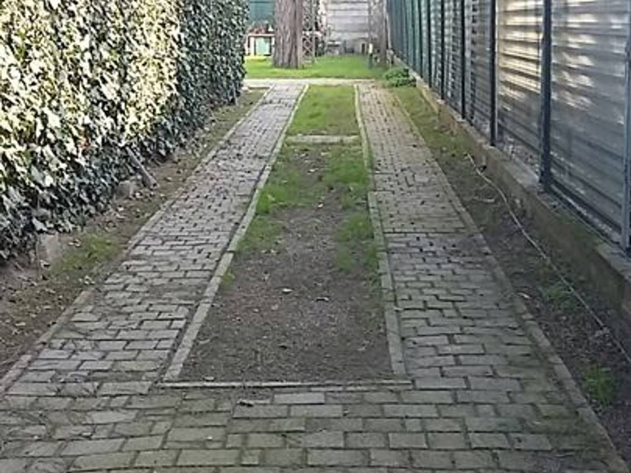 immagine annuncio 2 di 13