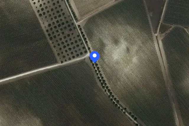 insertion image