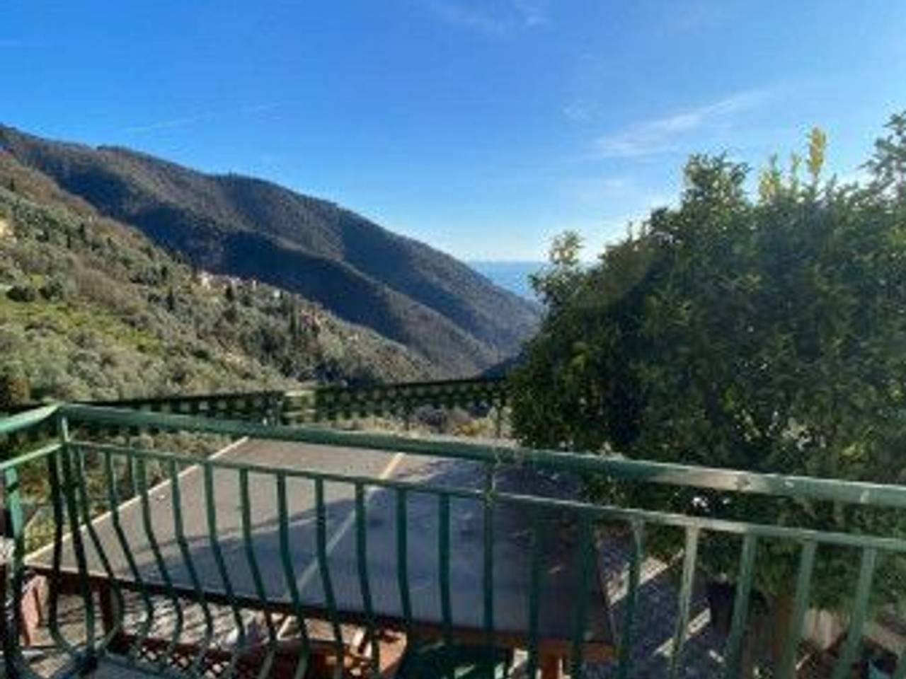 immagine annuncio 2 di 14