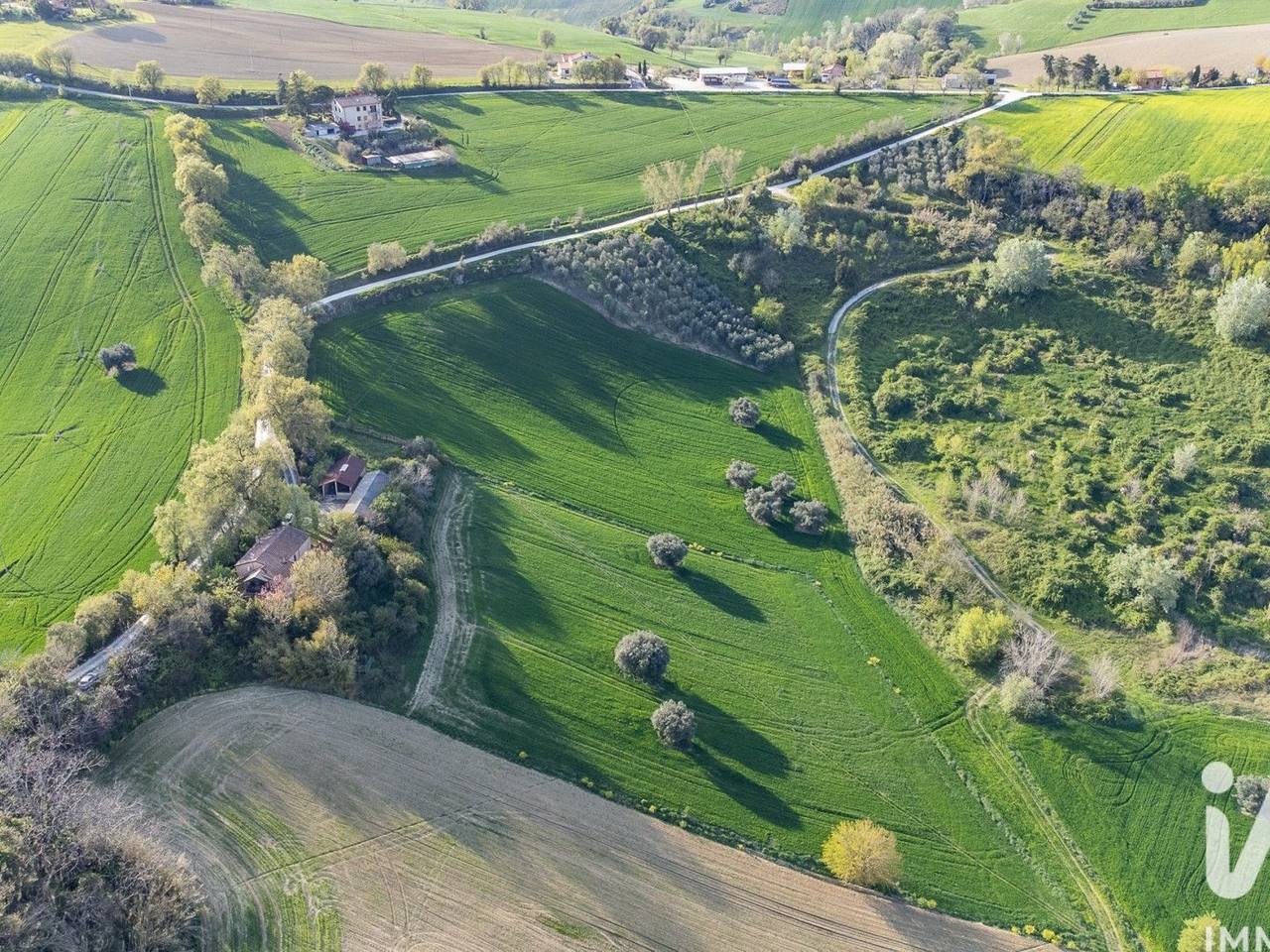 immagine annuncio 7 di 14