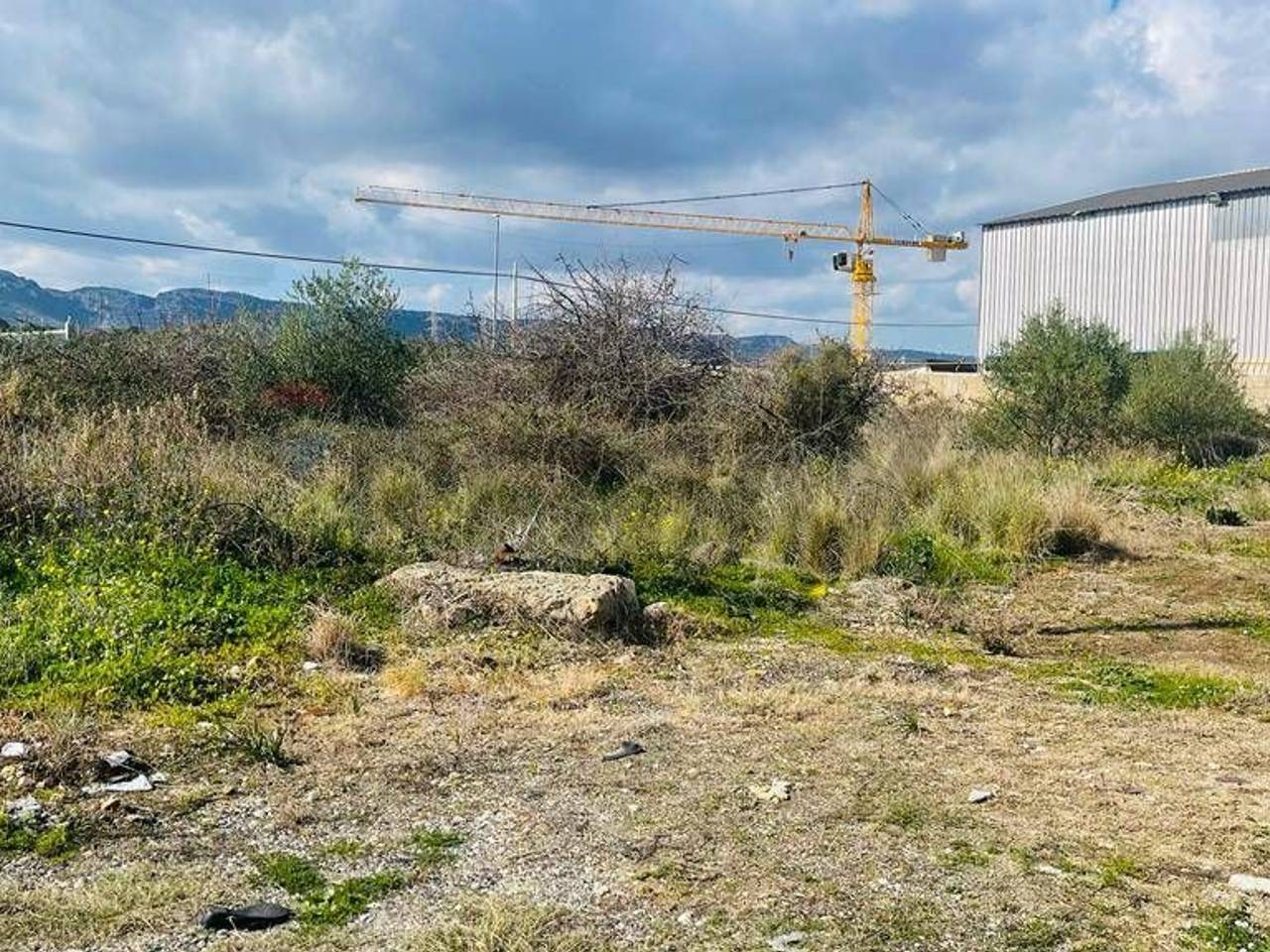 immagine annuncio 8 di 15