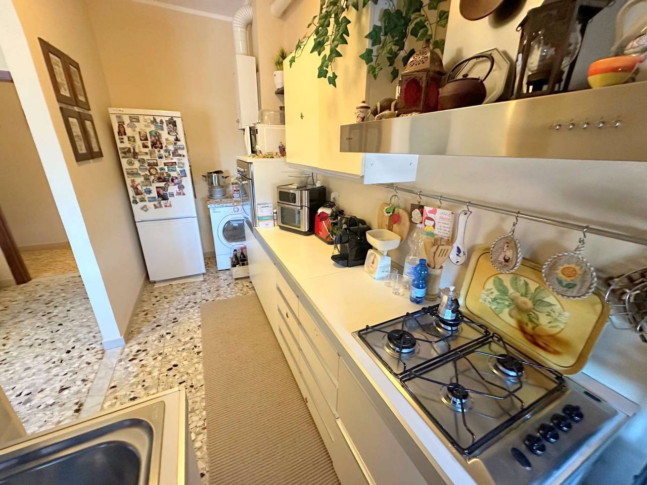 immagine annuncio 9 di 15