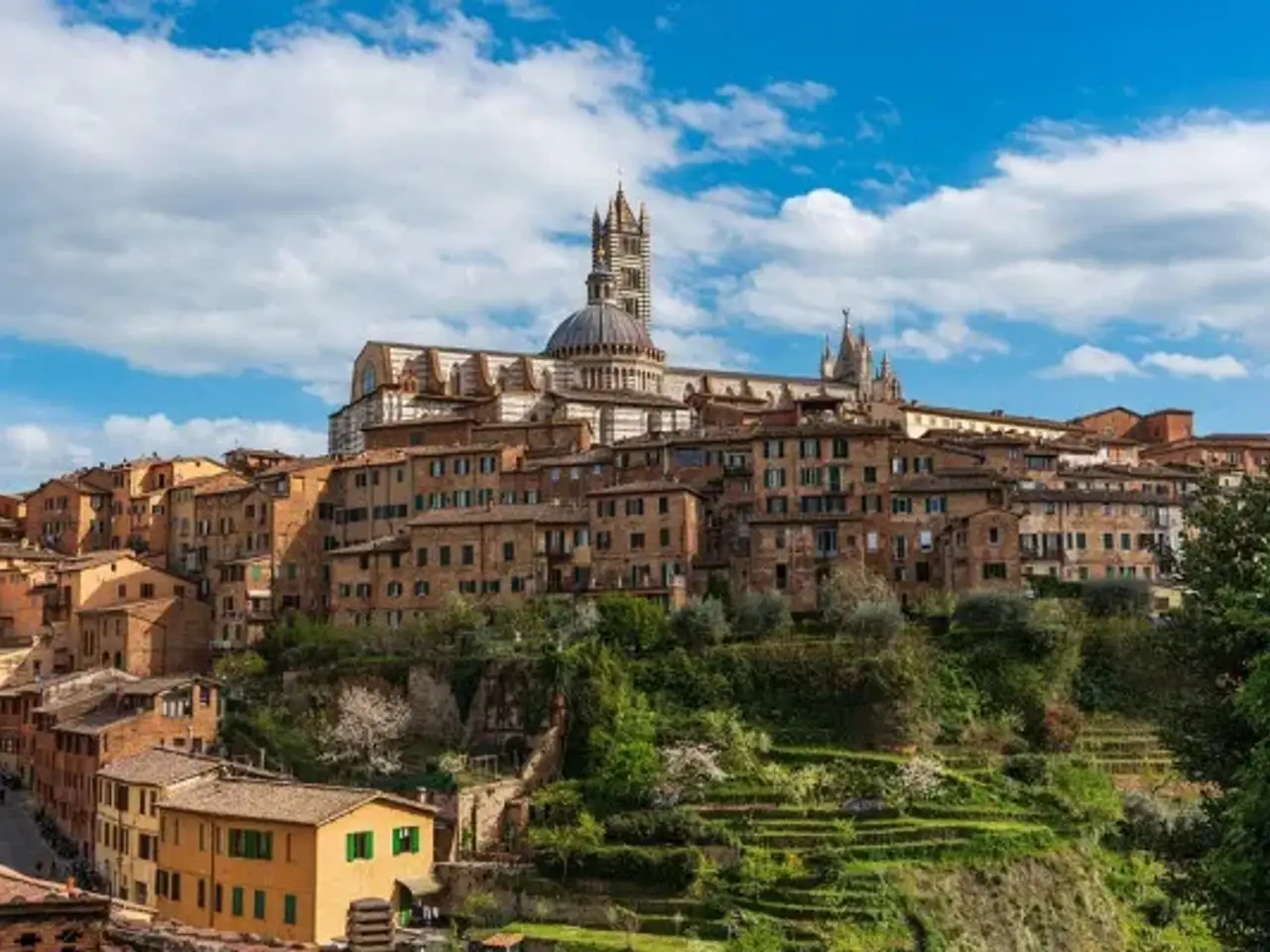 Negozio in , Siena, {3} - Foto 1
