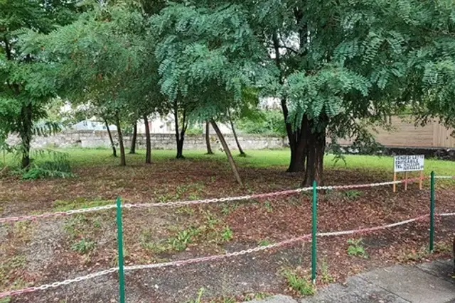 insertion image