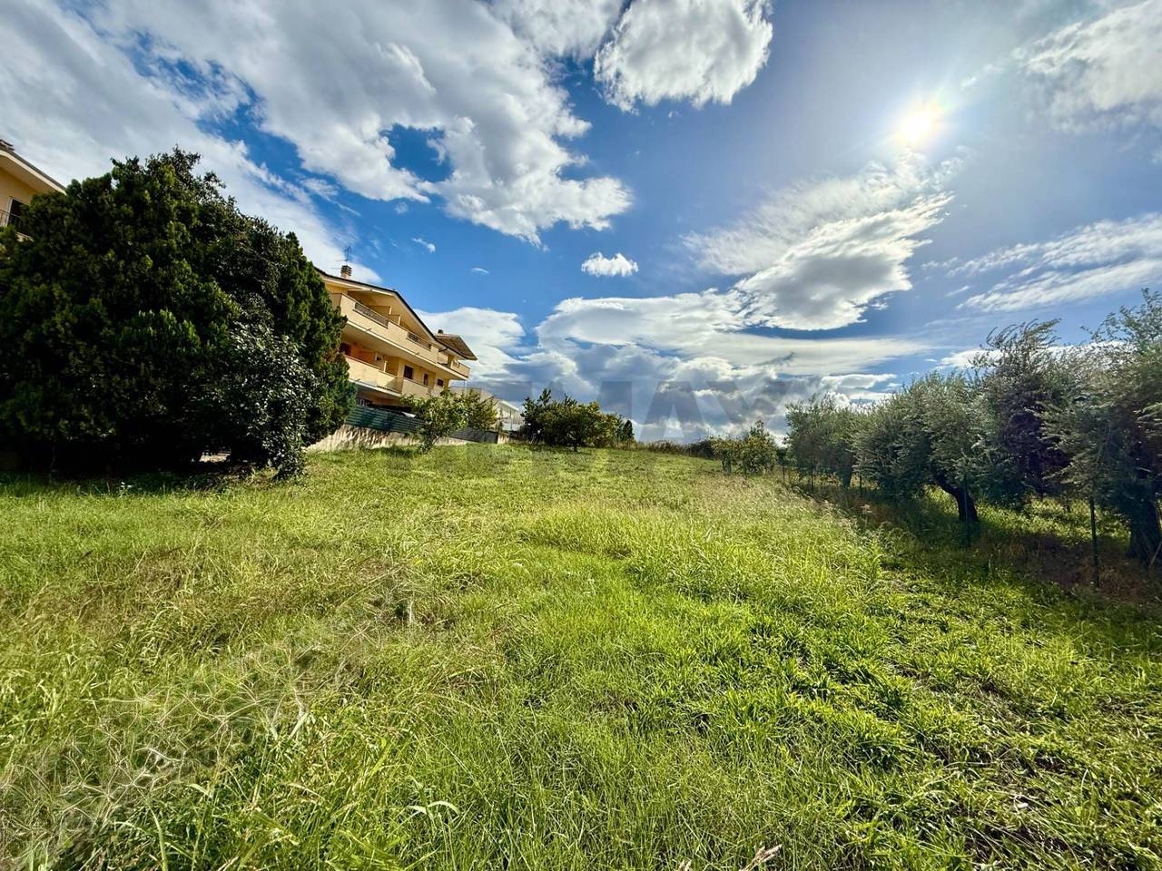 immagine annuncio 1 di 7