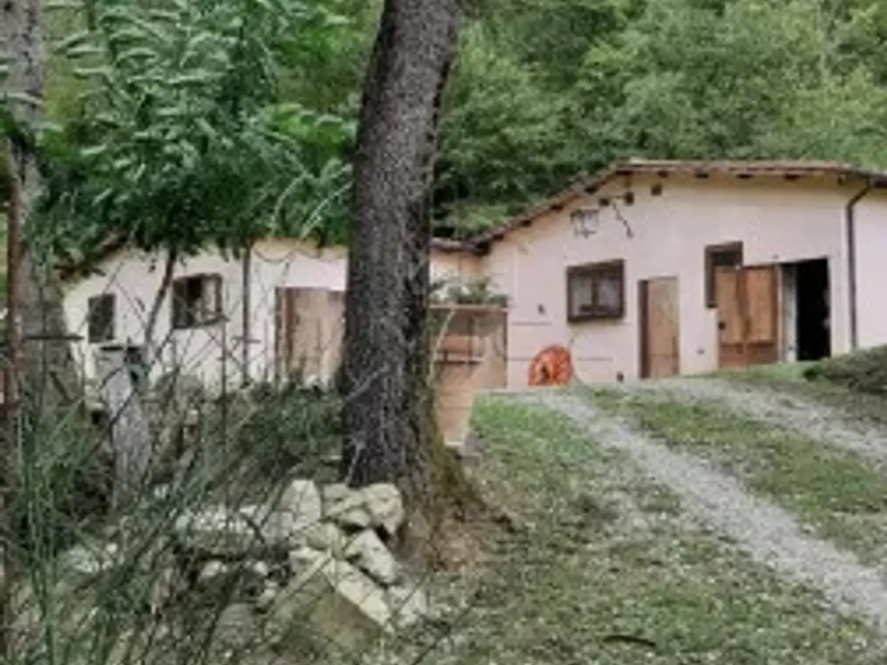 Capannone in Viale Giotto, Anghiari, {3} - Foto 1