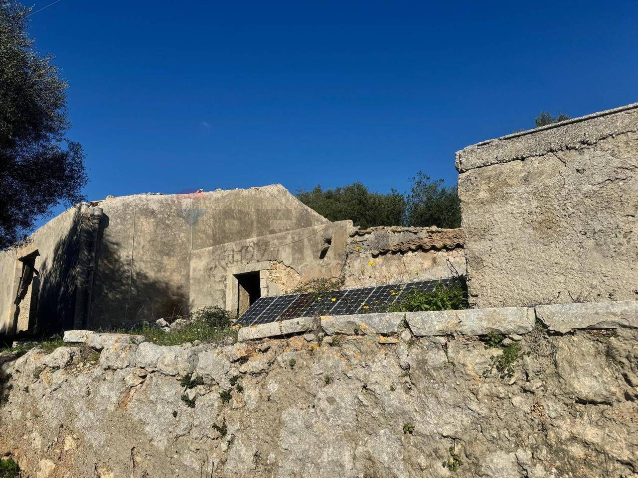 immagine annuncio 13 di 14