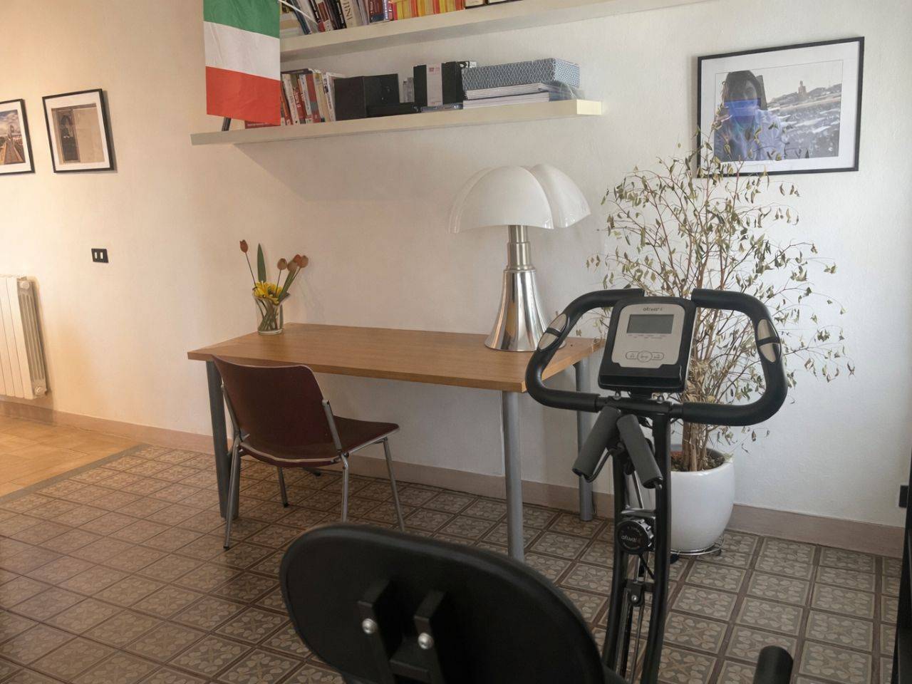 immagine annuncio 7 di 14