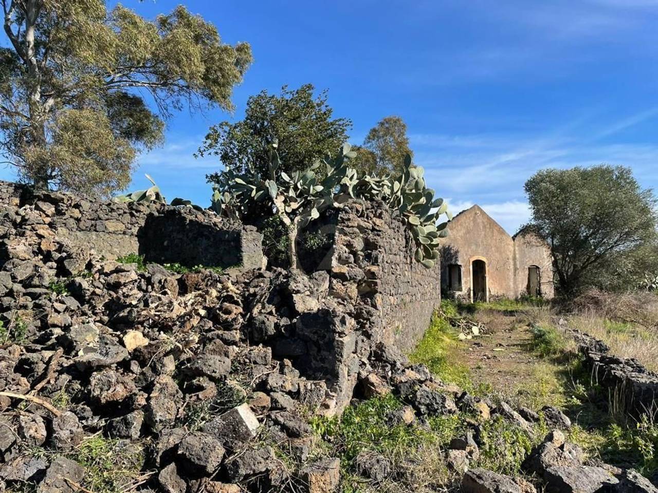 immagine annuncio 9 di 12