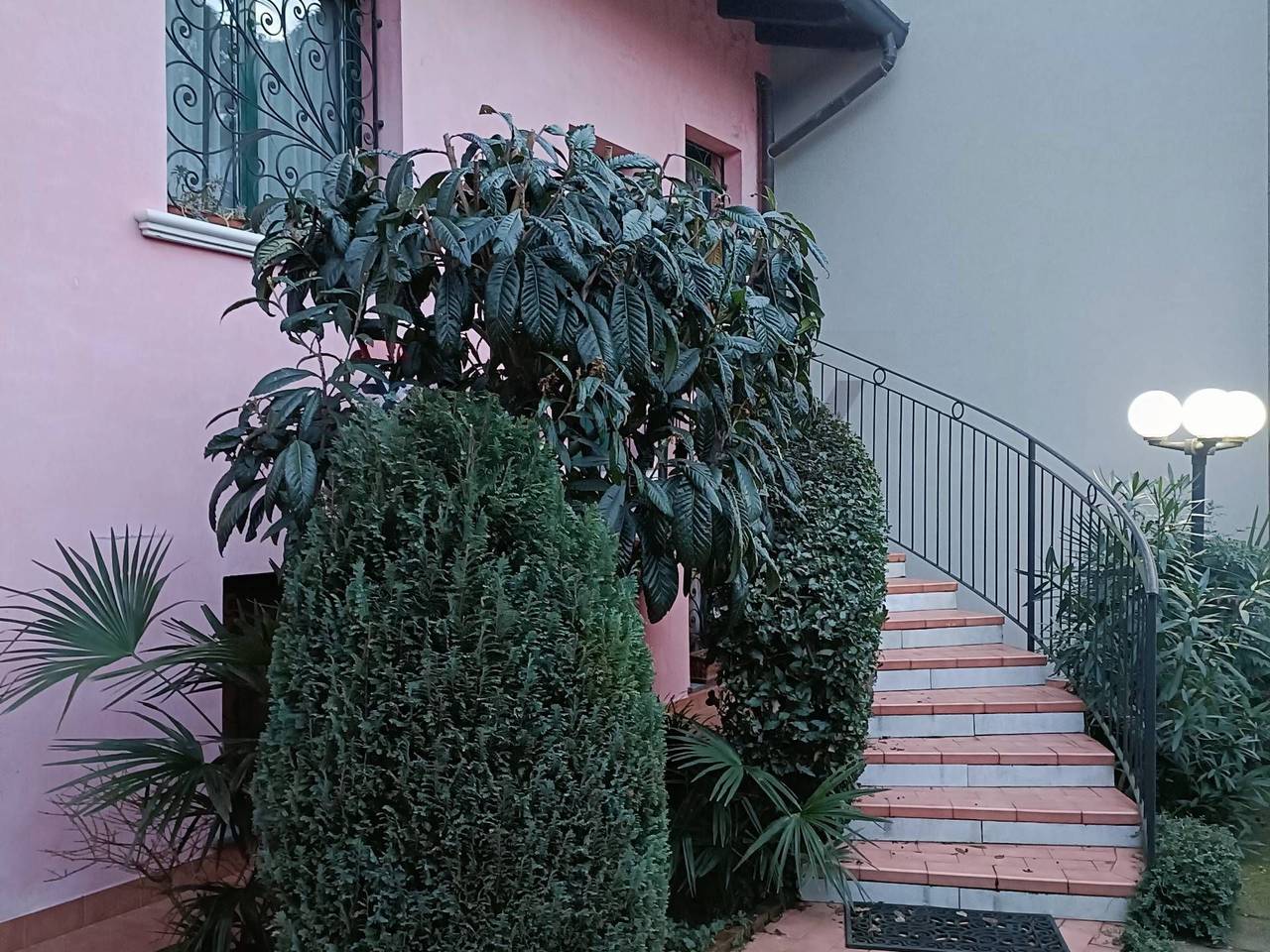 immagine annuncio 7 di 11