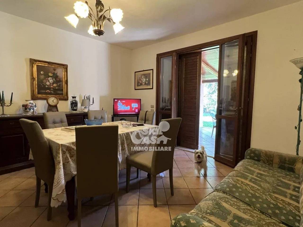 immagine annuncio 7 di 15