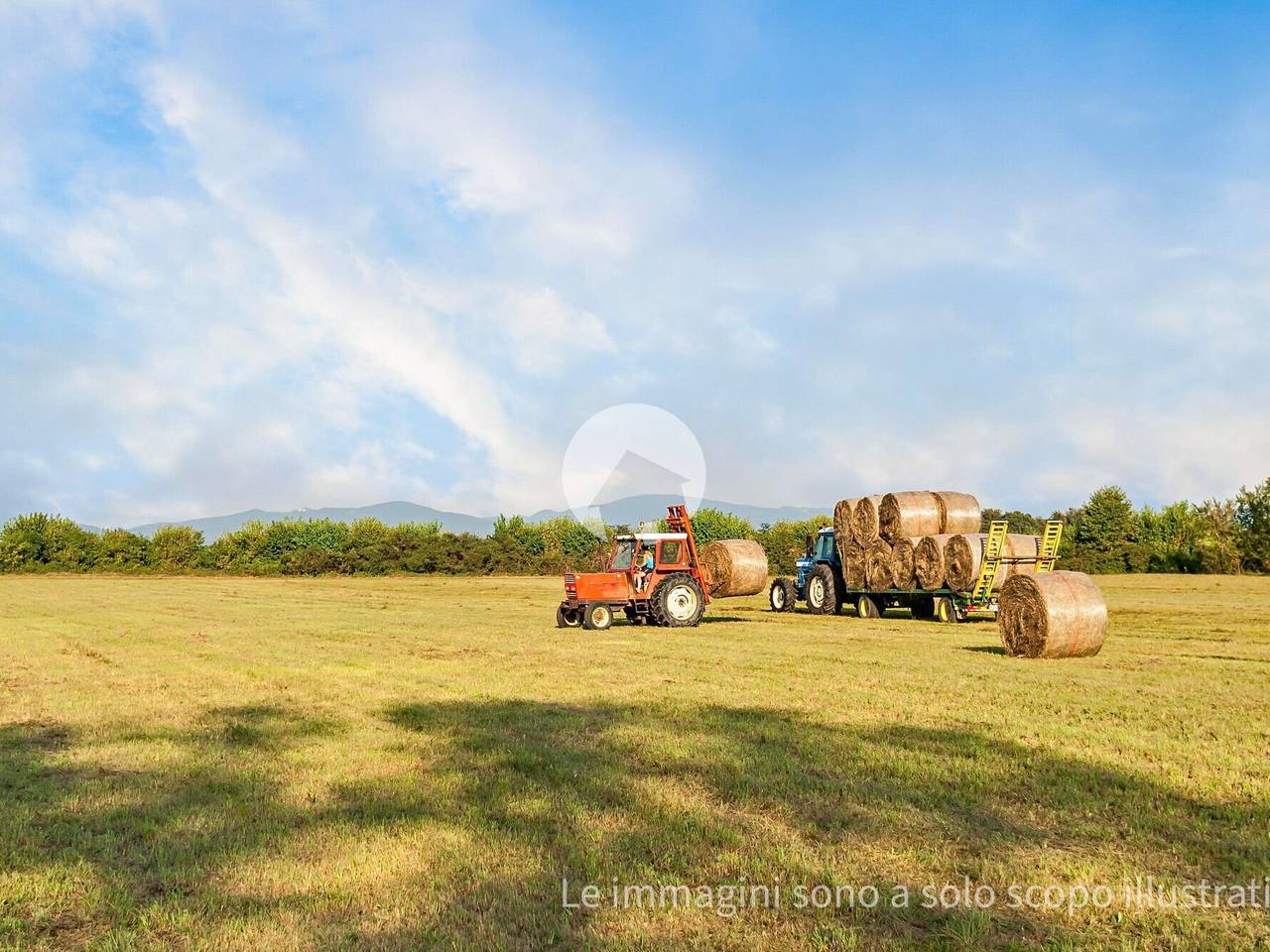 immagine annuncio 2 di 10