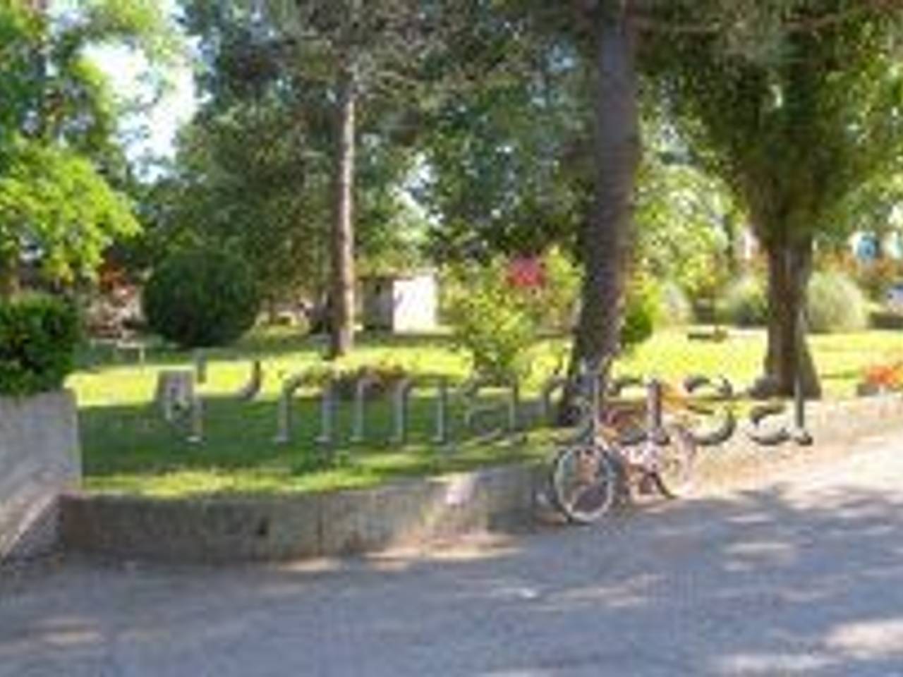 immagine annuncio 9 di 11