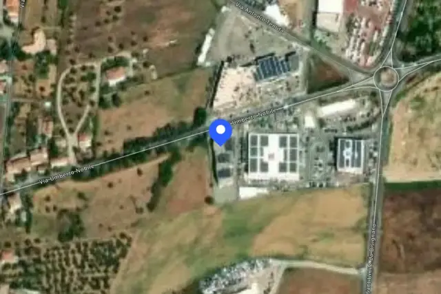 insertion image