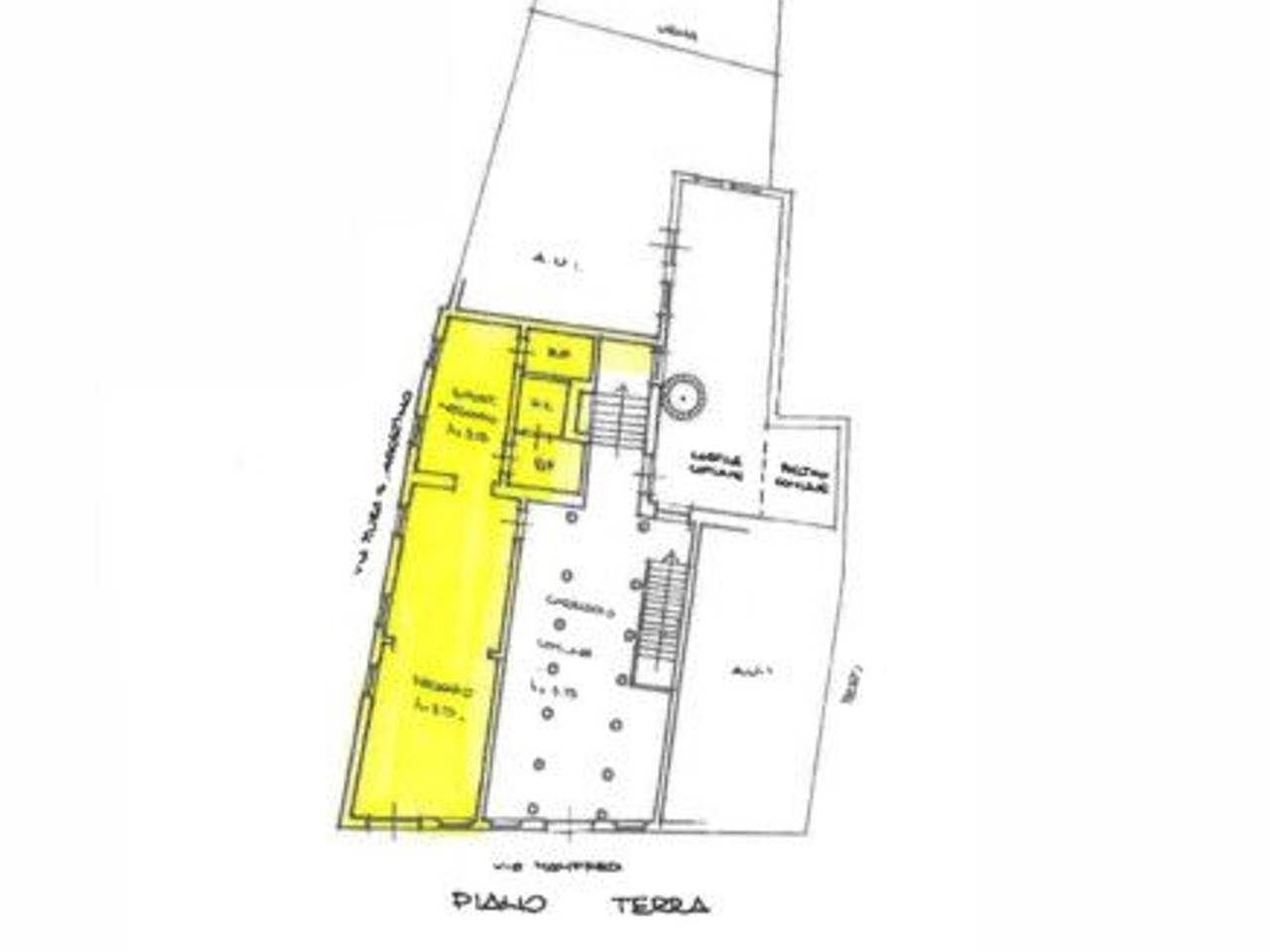 immagine annuncio 3 di 15