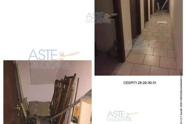 insertion image