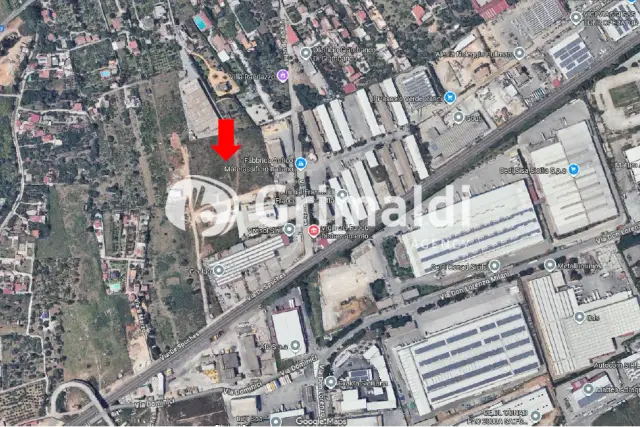insertion image