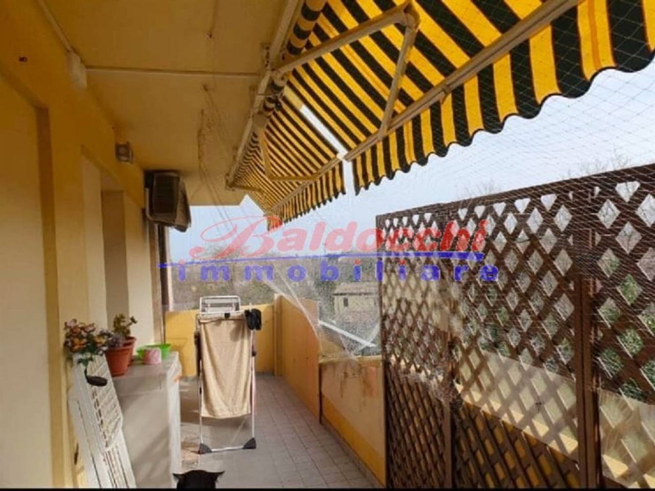 immagine annuncio 4 di 13