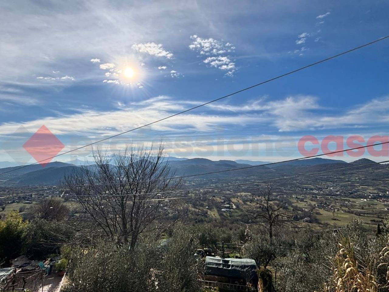 immagine annuncio 12 di 13