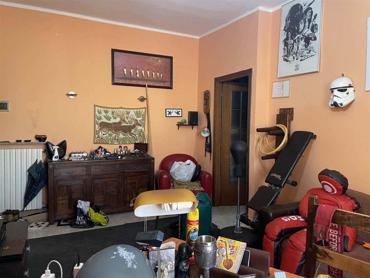 immagine annuncio 1 di 15
