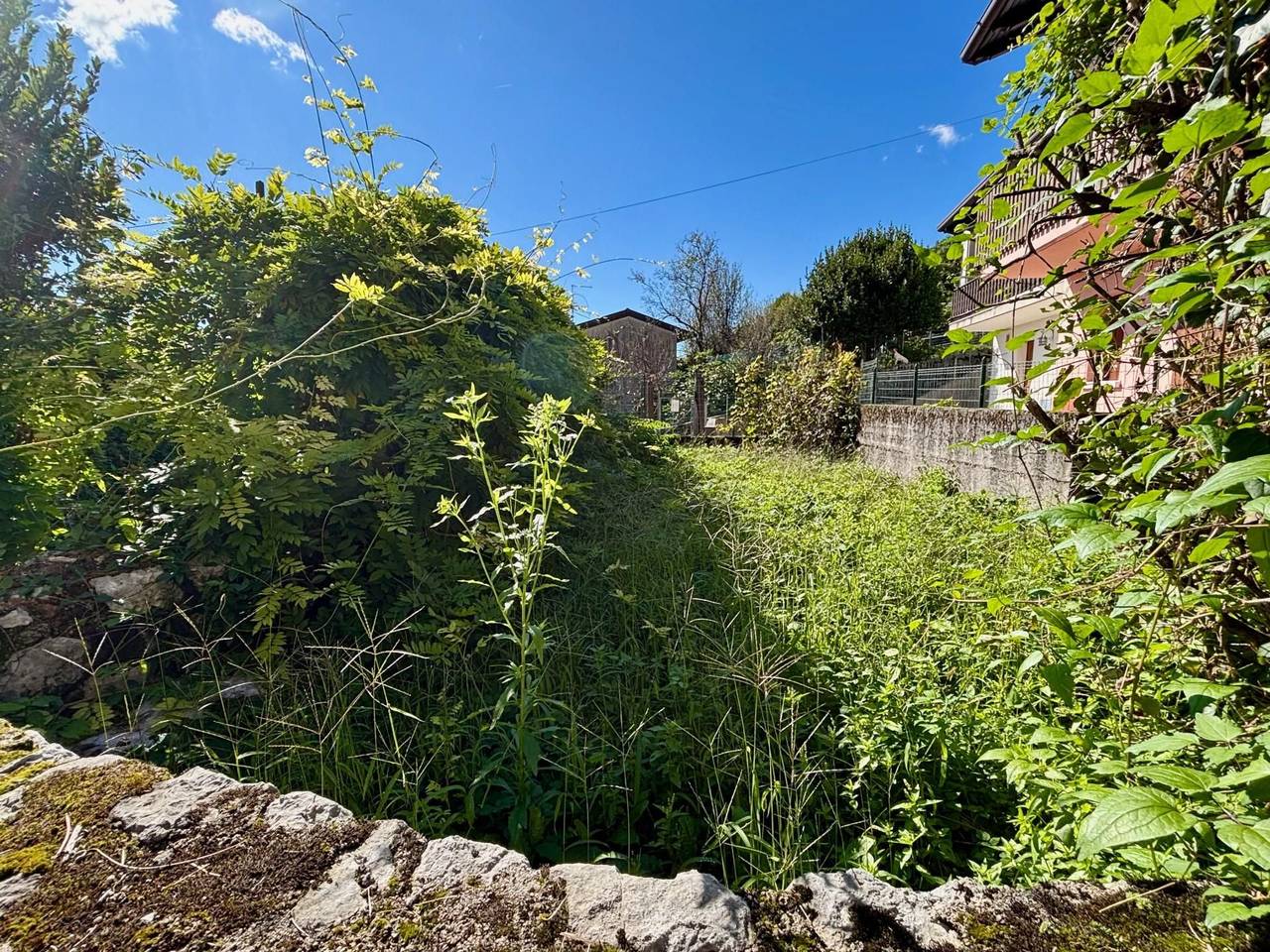 immagine annuncio 11 di 13