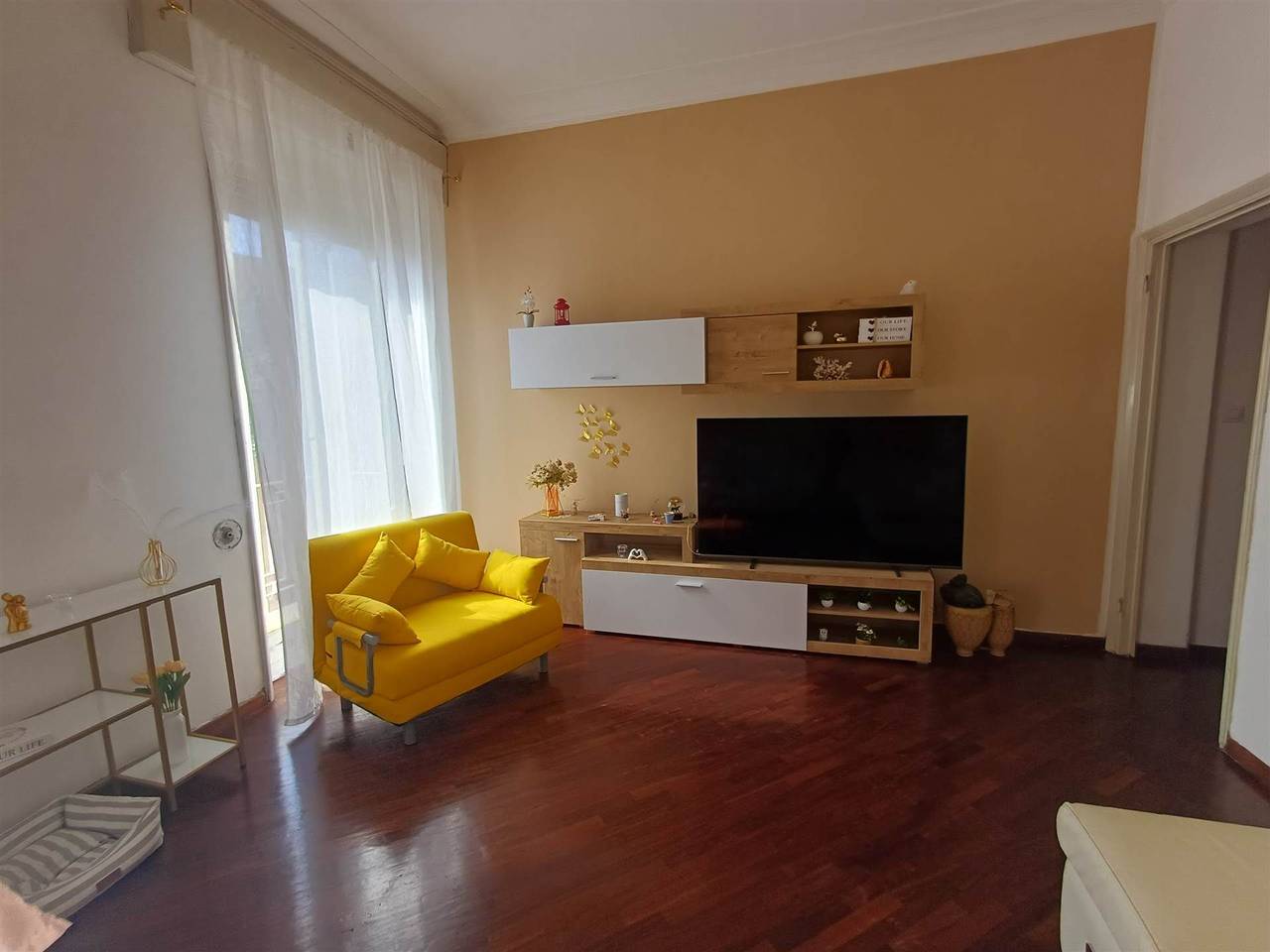 immagine annuncio 11 di 14