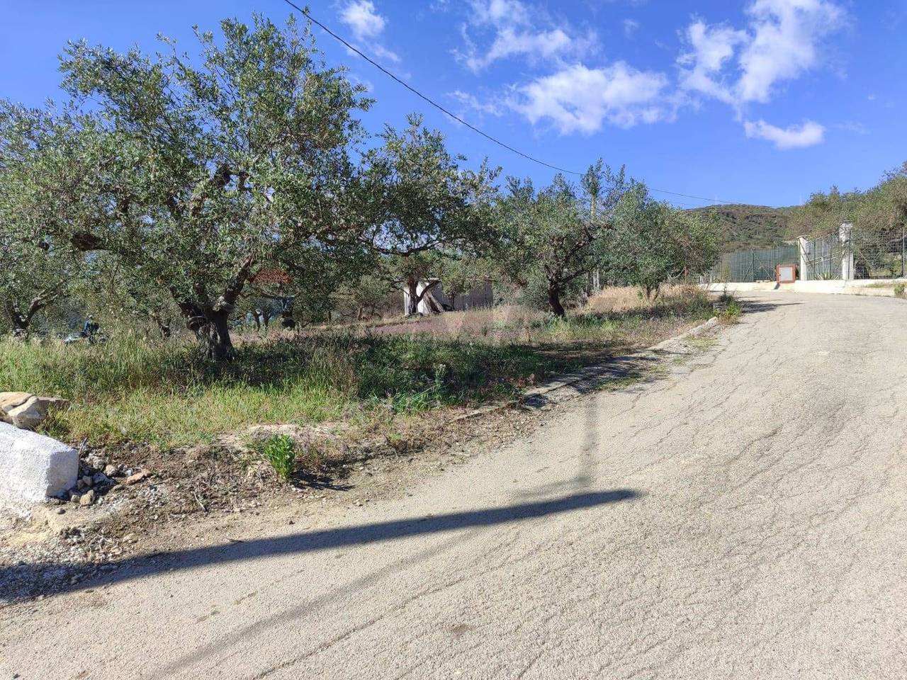 immagine annuncio 6 di 7