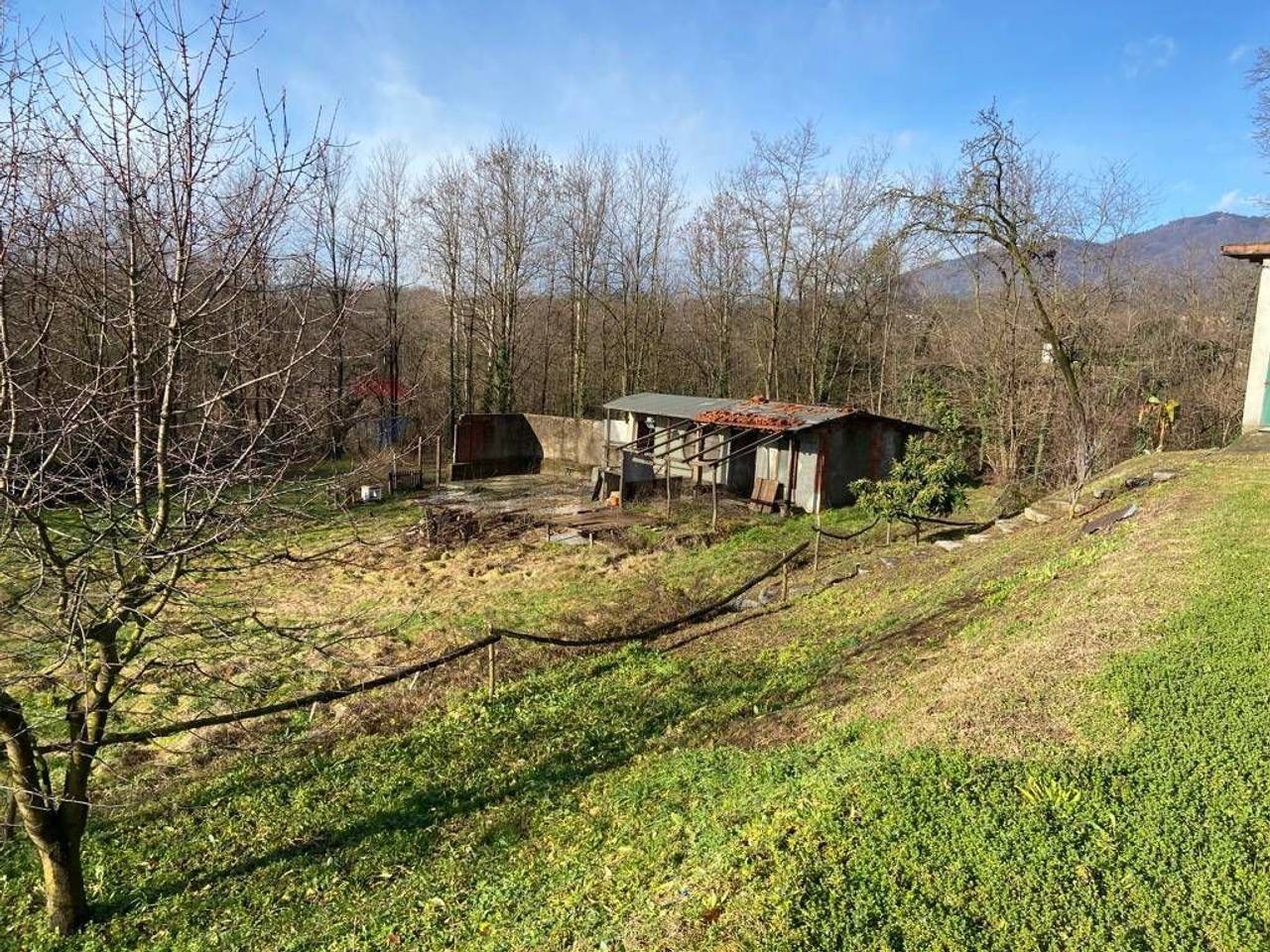 immagine annuncio 3 di 9