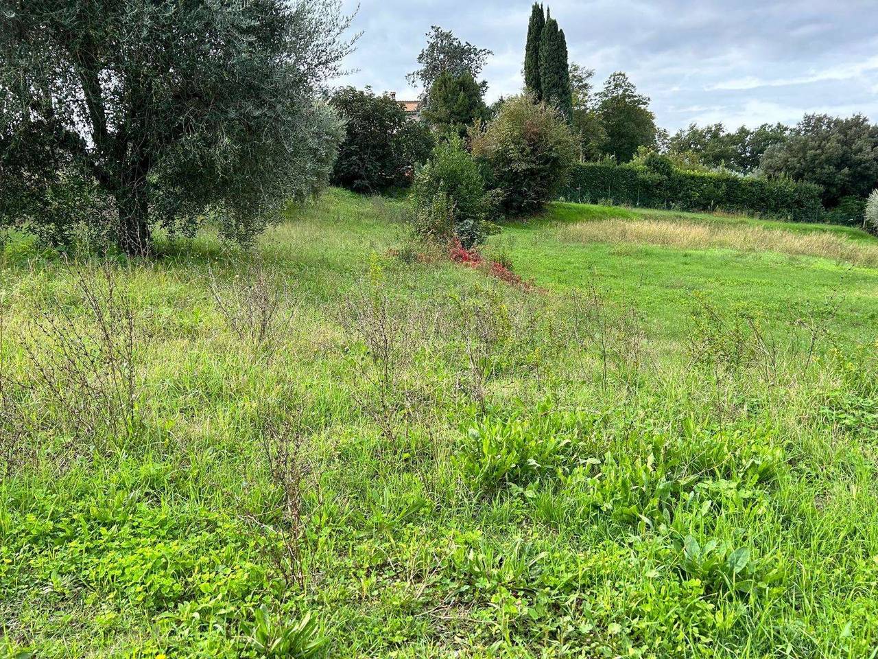 immagine annuncio 8 di 11