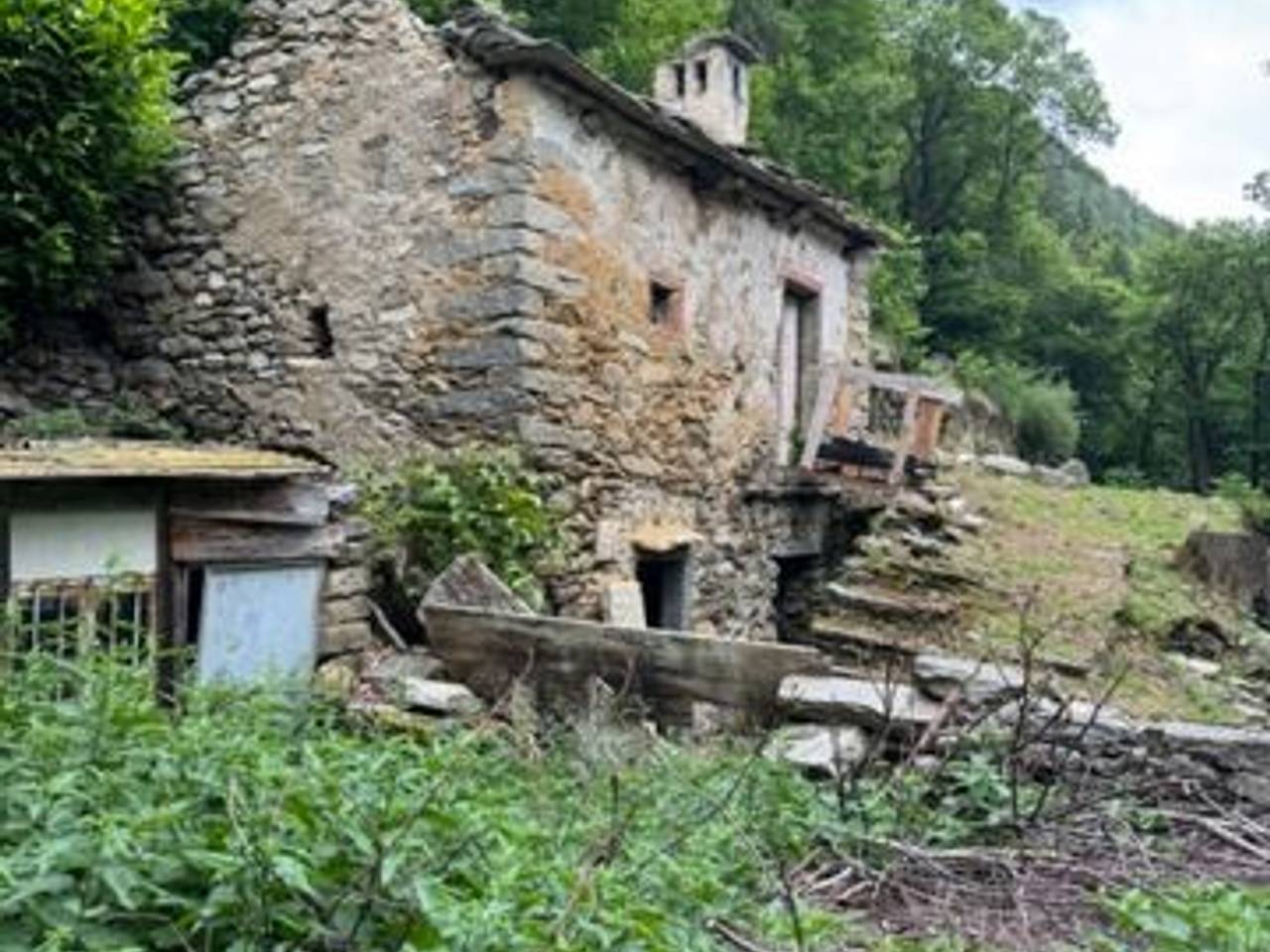 immagine annuncio 13 di 15