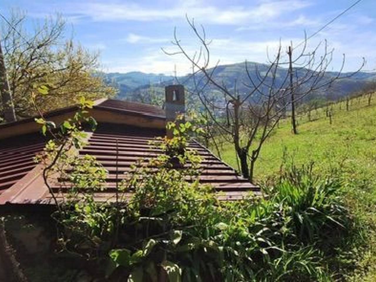 immagine annuncio 4 di 10