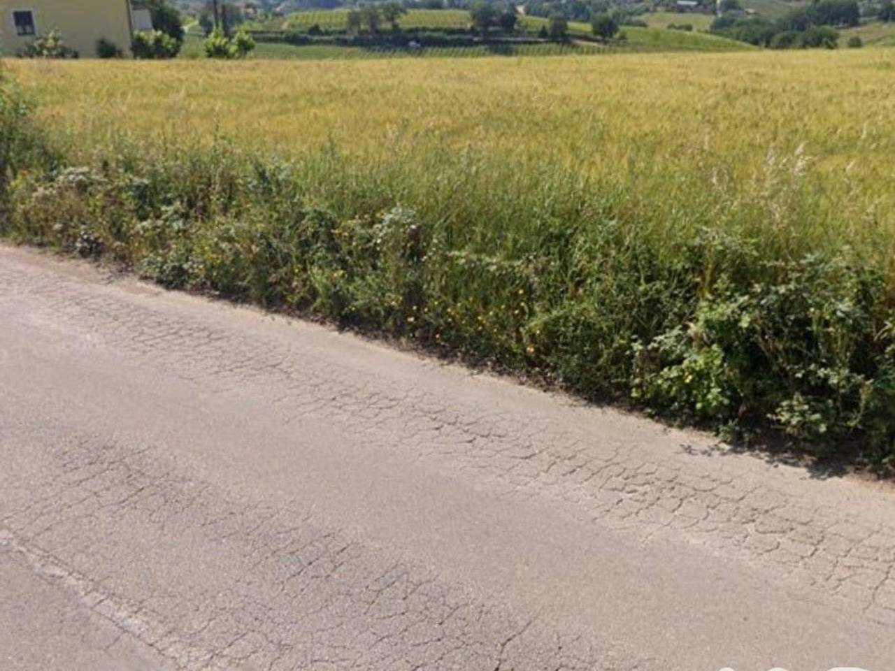 immagine annuncio 8 di 12