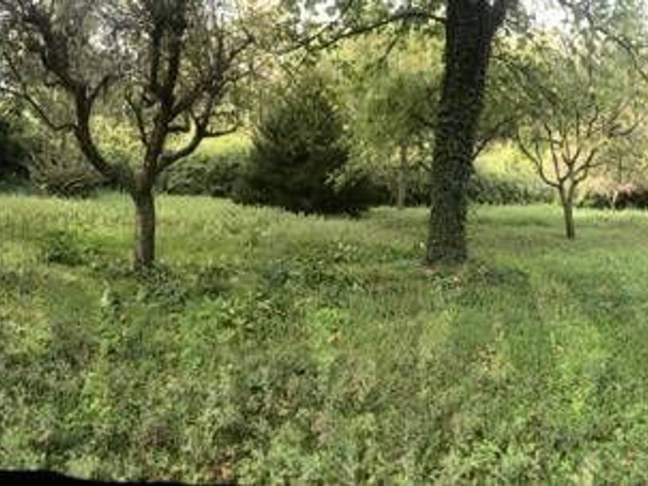 immagine annuncio 7 di 13