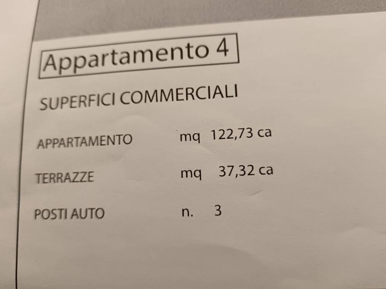 immagine annuncio 4 di 14