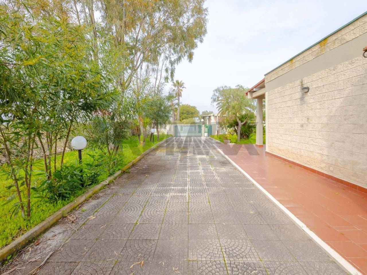 immagine annuncio 12 di 13