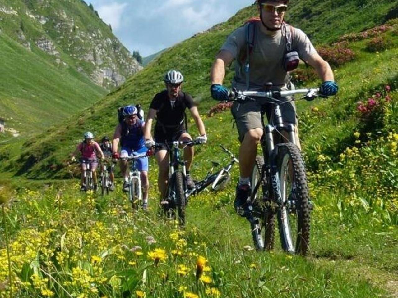 immagine annuncio 7 di 15