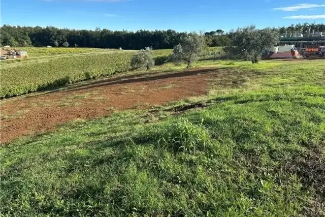 Residenzielles Bauland, Montelupo Fiorentino - Foto 1