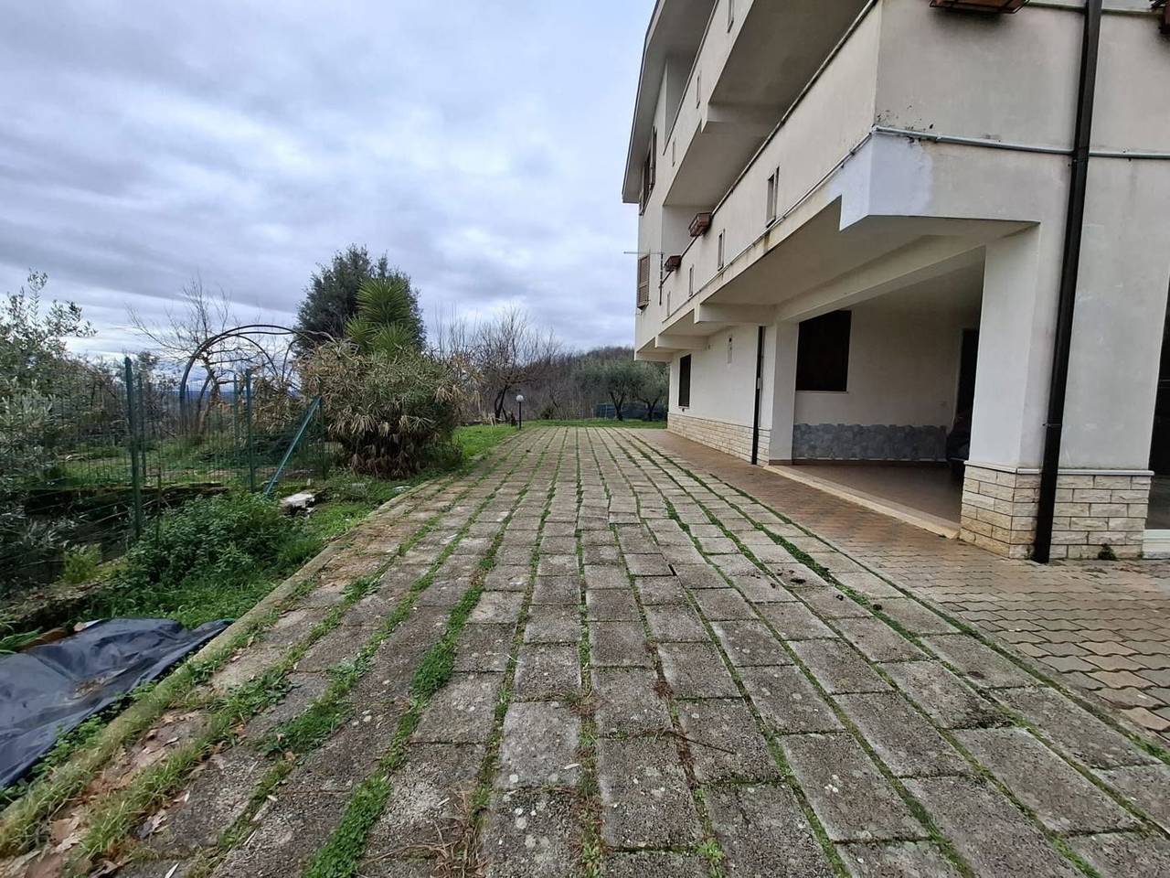 immagine annuncio 11 di 15