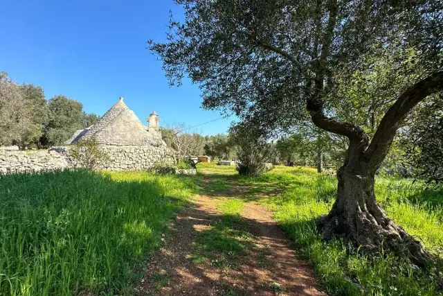 Rustico in Contrada Sessana Piccola, Ostuni - Foto 1