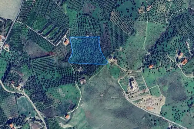 insertion image