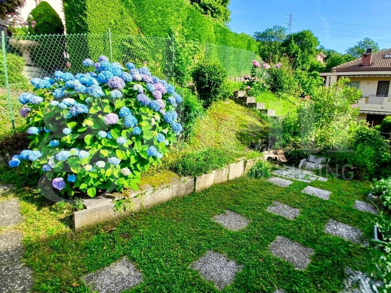 immagine annuncio 4 di 8