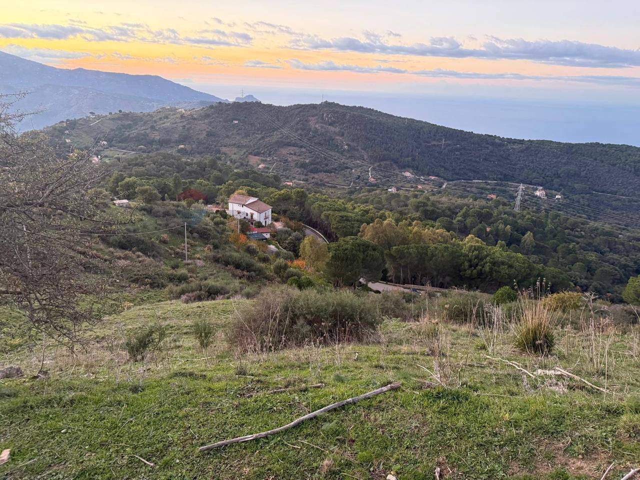 immagine annuncio 7 di 8