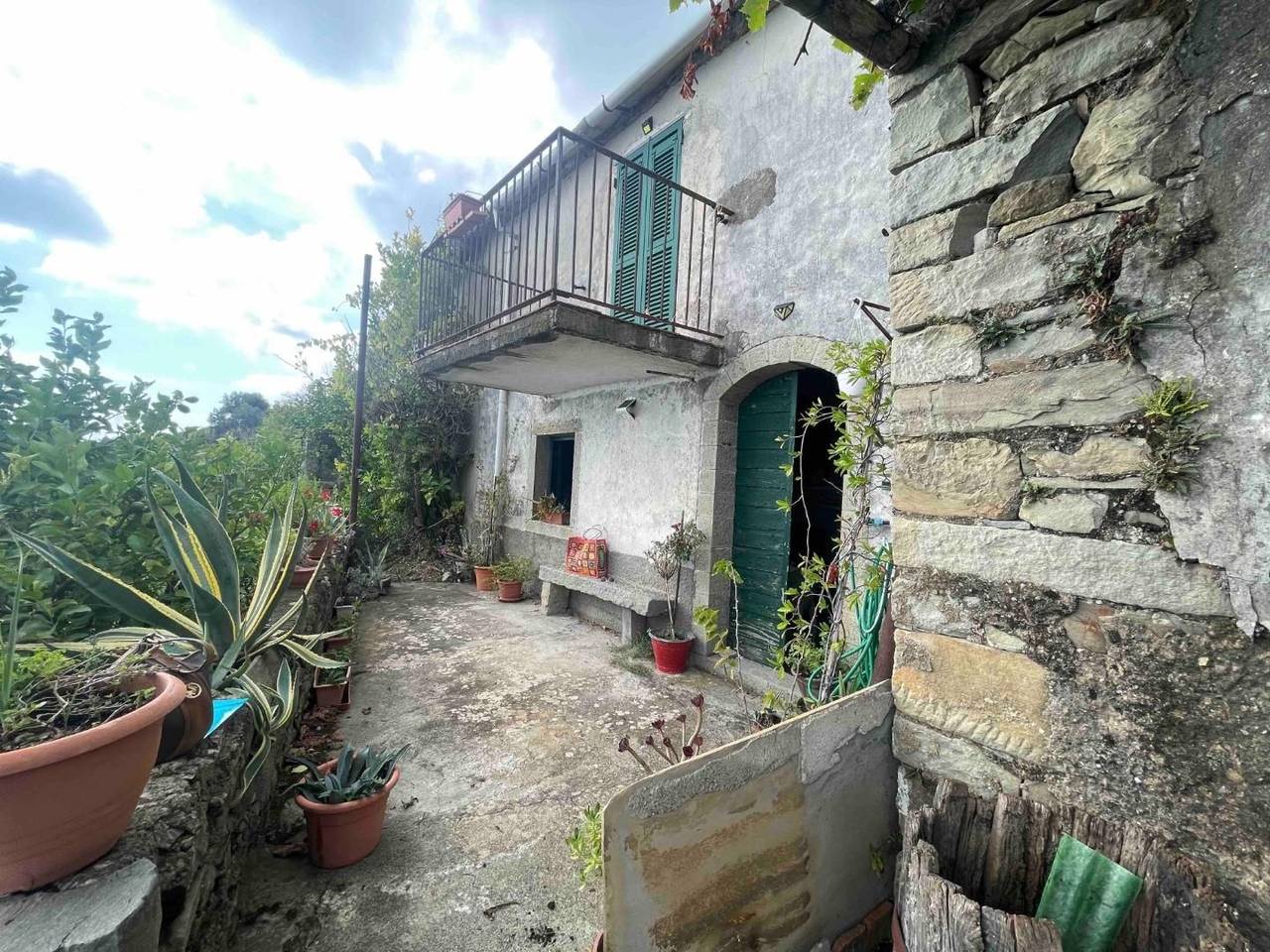 immagine annuncio 11 di 15