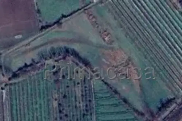 insertion image