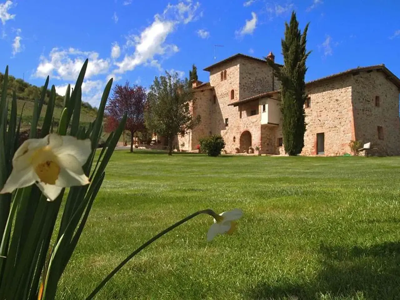 Azienda agricola in , Castelnuovo Berardenga, {3} - Foto 1