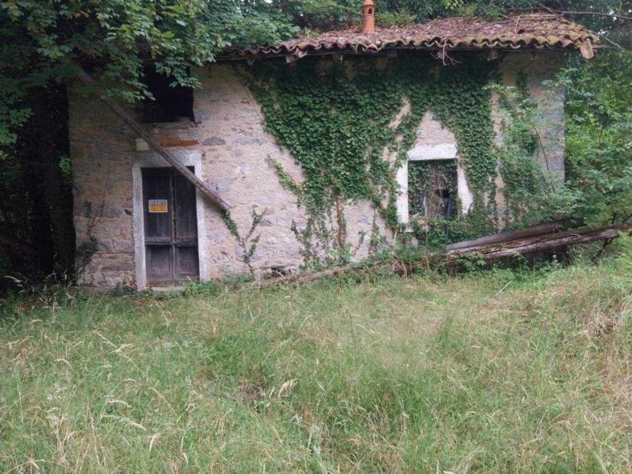 immagine annuncio 4 di 14