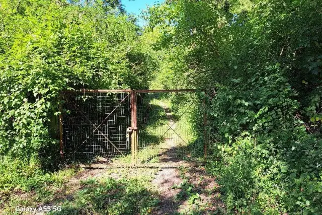 Agrargrundstück in Località Acquabona, Rosignano Marittimo - Foto 1