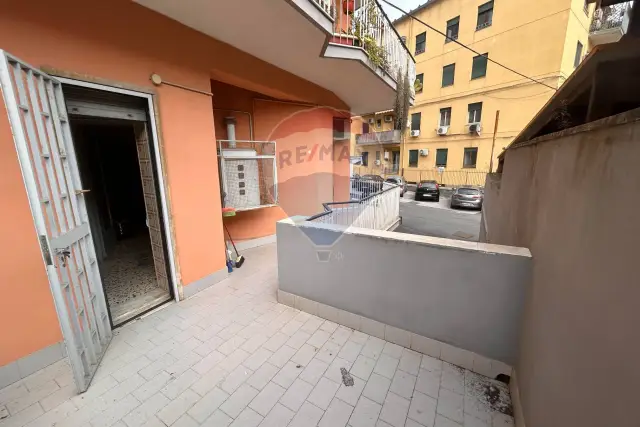 insertion image