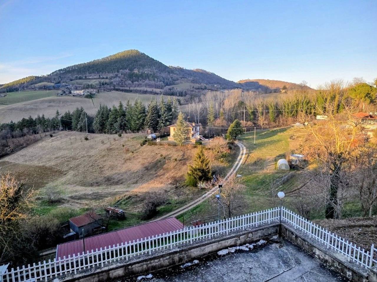 immagine annuncio 5 di 8