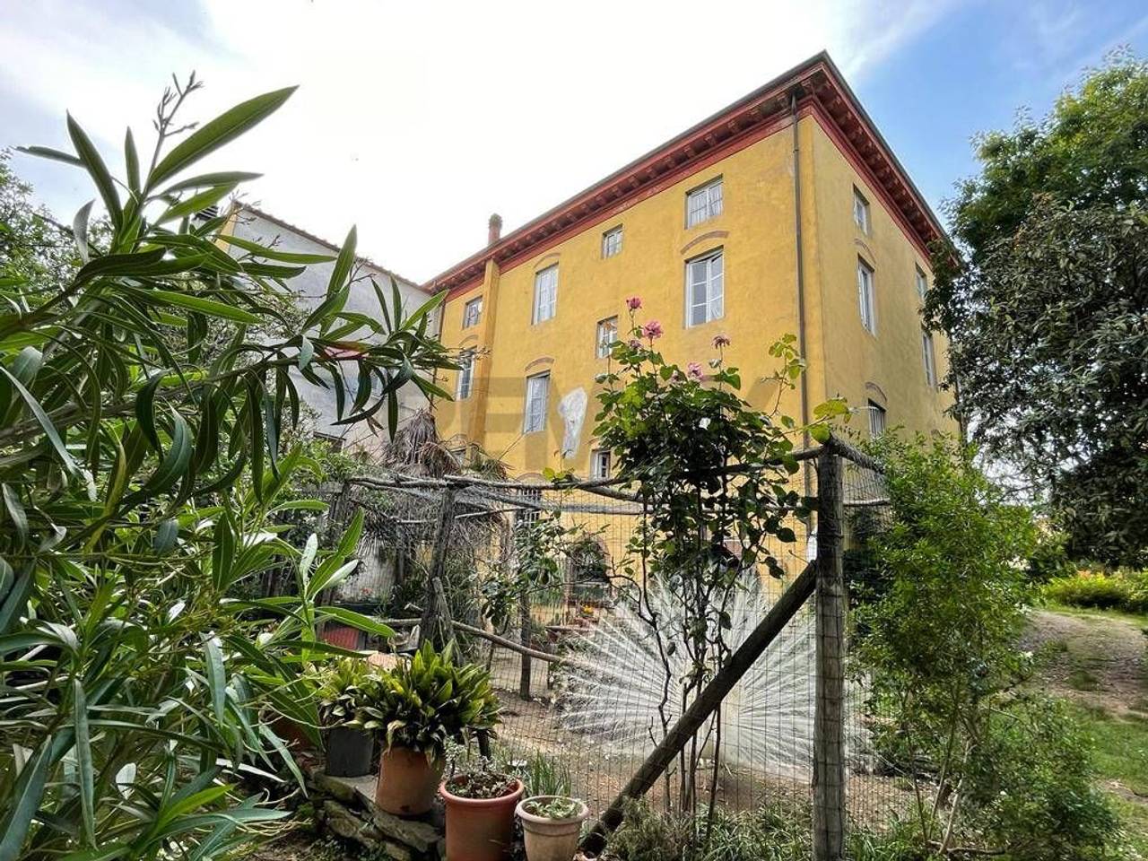 immagine annuncio 4 di 15
